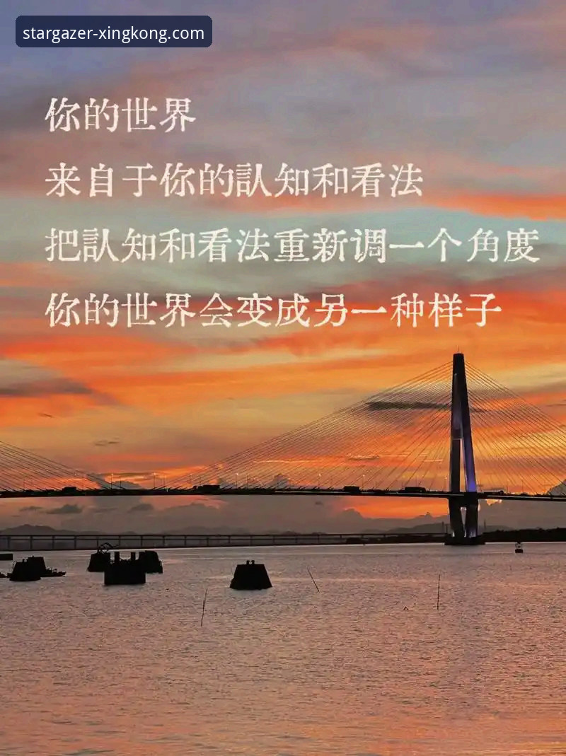 星空APP功能评测：7大核心亮点让你重新认识娱乐平台